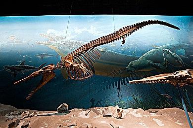 Steam好评如潮 《终焉之莉莉》开发商上线新作倒计时网站